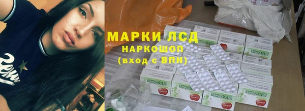 ECSTASY Богородицк