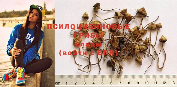 mix Богданович