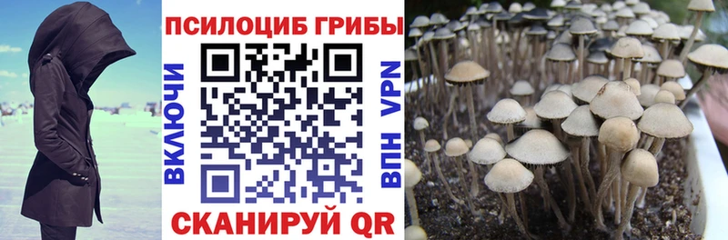 Галлюциногенные грибы MAGIC MUSHROOMS Бикин